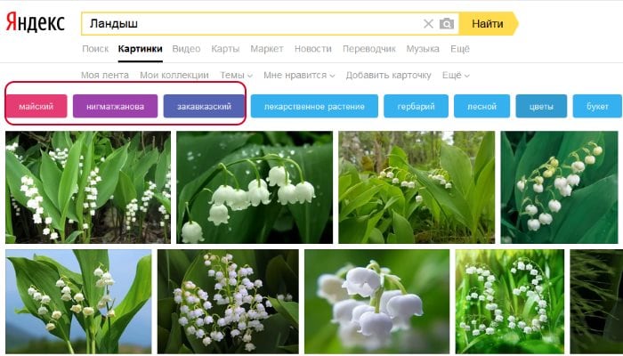 Filters for searching Yandex pictures