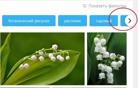 Arrow to display other filters in Yandex