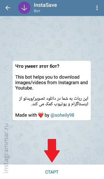 Viewing Instagram Stories anonymously - Telegram bot