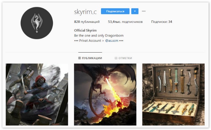 Skyrim Instagram account