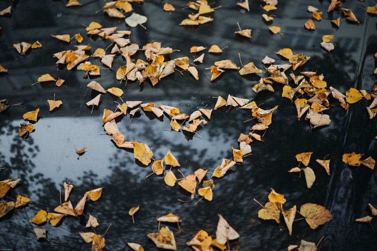 Autumn Instagram photo ideas - a heart of leaves