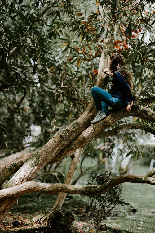 autumn photo ideas for instagram - a girl on a tree