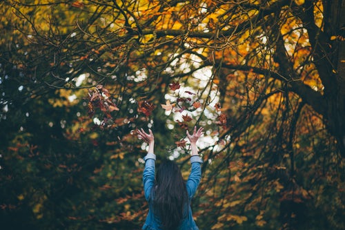 autumn photo ideas for instagram - throws leaves in the forest
