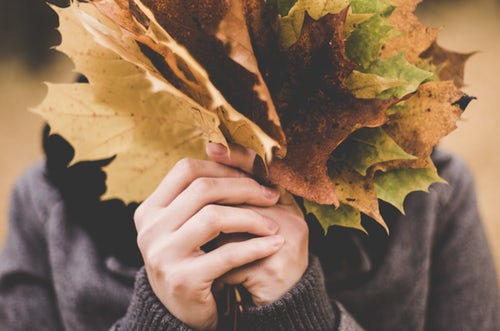 autumn photo ideas for instagram a bunch of leaves