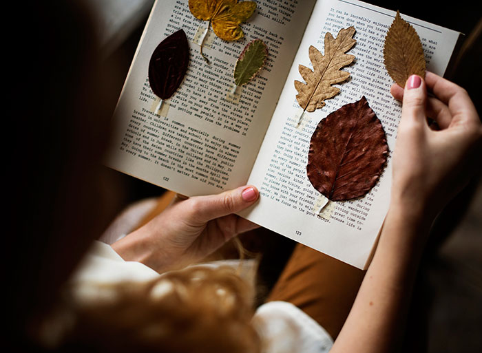 Autumn photo ideas for Instagram - dry leaves in a book
