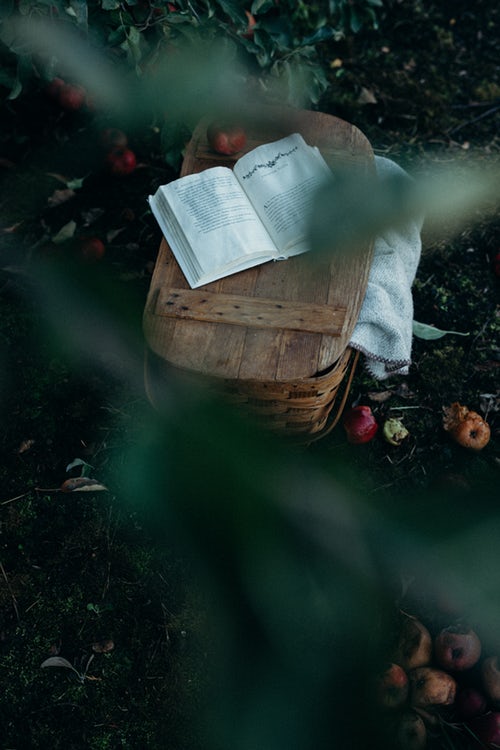 Autumn photo ideas for Instagram - a picnic book