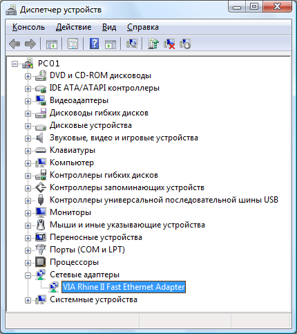 Device Manager. Checking the network adapter